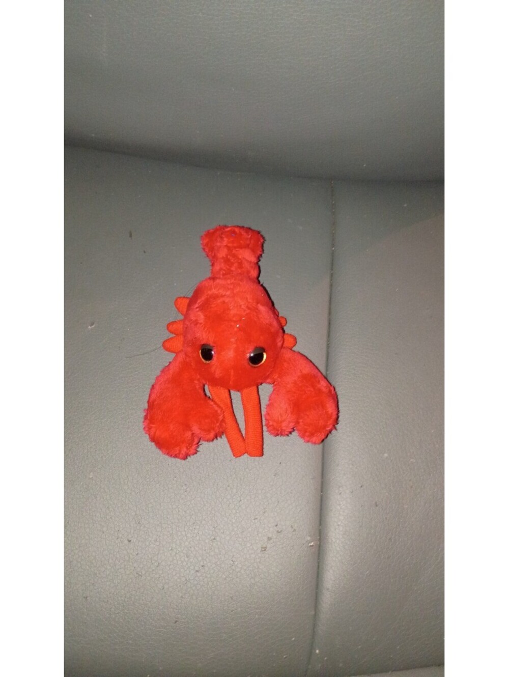 Cute little lobster 🦞